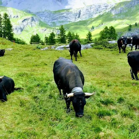 Spacieux Pres Des Violettes Crans-Montana