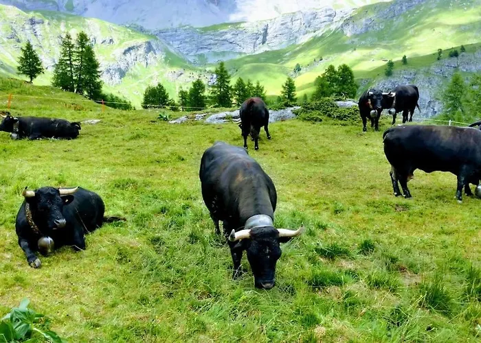 Spacieux Pres Des Violettes Crans-Montana