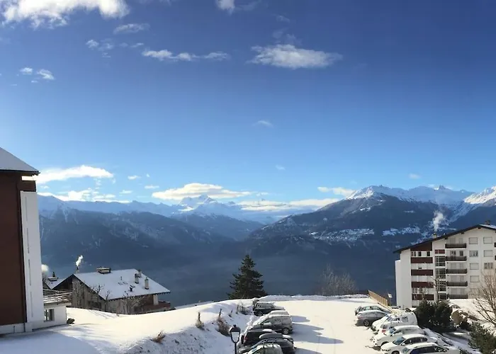 Spacieux Pres Des Violettes Apartman Crans-Montana