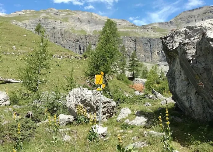 Spacieux Pres Des Violettes