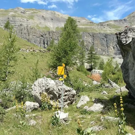 Spacieux Pres Des Violettes