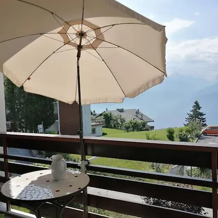 Spacieux Pres Des Violettes Appartement *