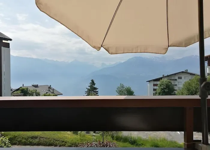 Spacieux Pres Des Violettes